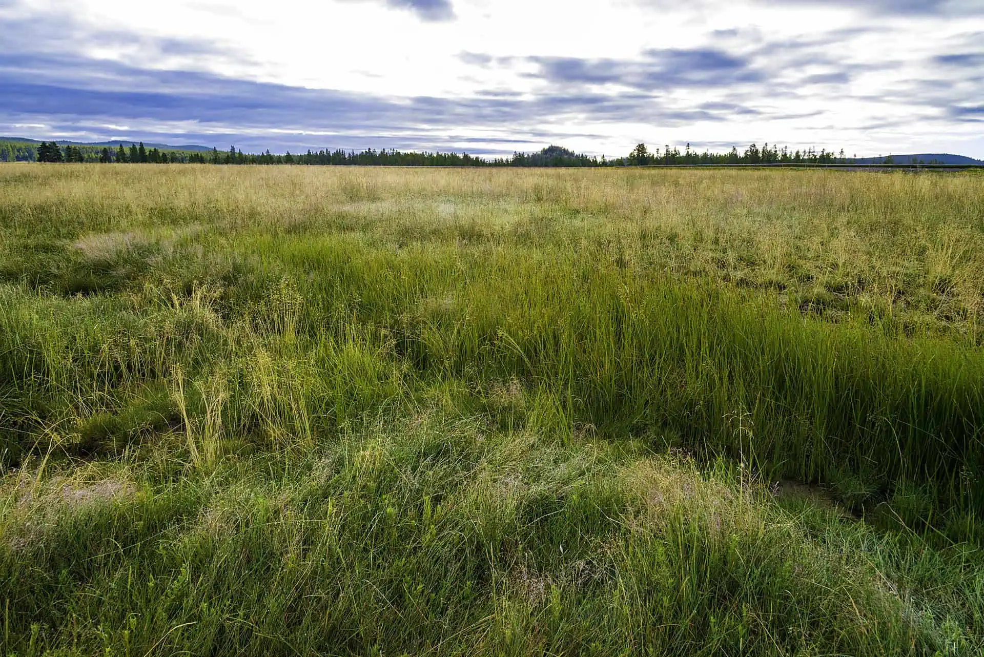 Land Insurance Massachusetts