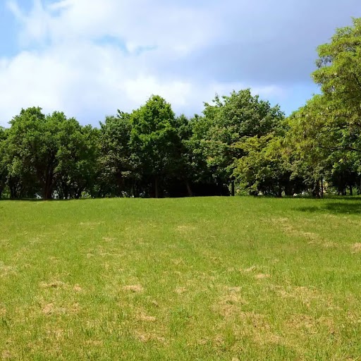 Land Insurance Massachusetts